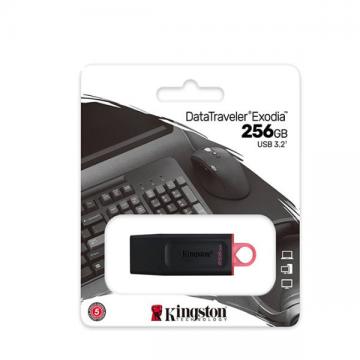 USB 256GB KINGSTON DataTraveler Exodia DTX (USB3.2)